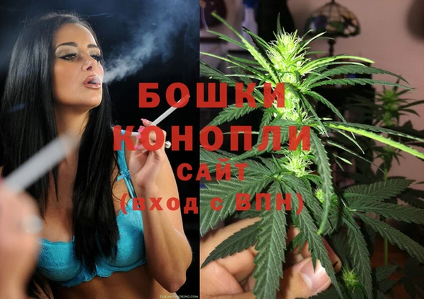 прущие грибы Новодвинск