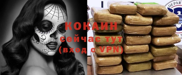 хмурый Новозыбков