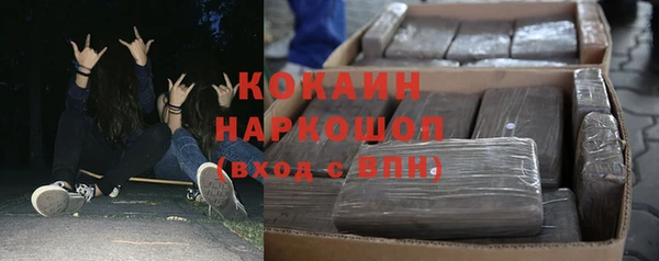 хмурый Новозыбков