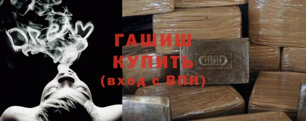 прущие грибы Новодвинск