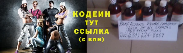 прущие грибы Новодвинск