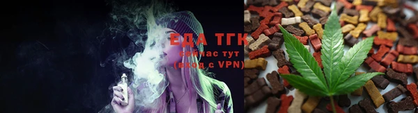 прущие грибы Новодвинск