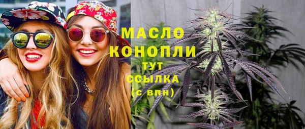 прущие грибы Новодвинск