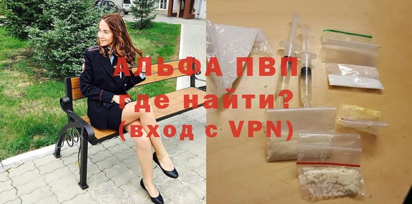 PSILOCYBIN Новокубанск