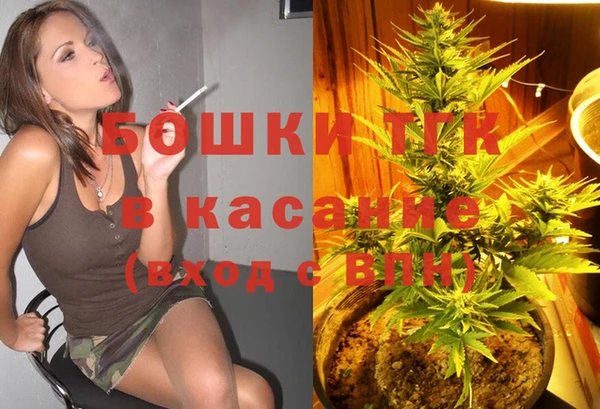 PSILOCYBIN Новокубанск