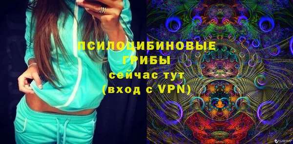 PSILOCYBIN Новокубанск
