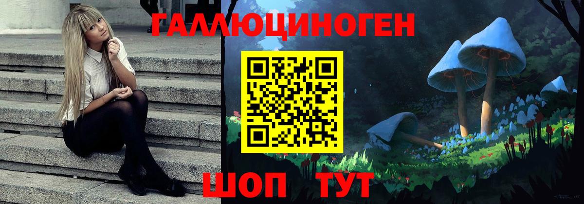Калач-на-Дону  Галлюциногенные грибы Magic Shrooms  Псилоцибиновые грибы MAGIC MUSHROOMS  Вход с VPN 